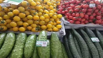 大石橋名優(yōu)特農(nóng)產(chǎn)品篇 品味遼南風(fēng)土的舌尖瑰寶